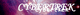 Cybertrek logo