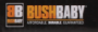 Bush Baby