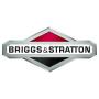Briggs & Stratton