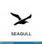SEAGULL