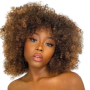 Synthetic Hair Afro Kinky Ombre Fringe Wig.
