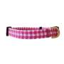 The Fuchsia Is Pink ~ Dog Collar - Medium / Gold
