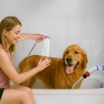 Faucet Hoses:quick Connectionno Need Tools Sink Hose Bathing The Dog Washing Vegetables Etc White Connect 7 Feet