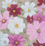 Scatter Cushion Cosmos