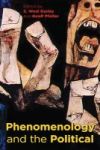Phenomenology And The Political Hardcover