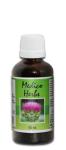 Curry Leaf Drops Kadi Patta 50ML