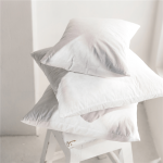 Feather Scatter Cushion Inner 65X65