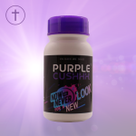 Now Or Never 60 Capsules - Weight Loss & Fiber Supplement Sa