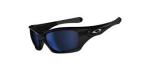 Hugo Boss HG1387 G