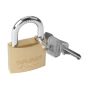 - Padlock Brass 50MM 2 Keys Blister