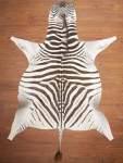 Aa Grade Zebra Hide 063 M