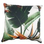 Strelitzia Scatter Cushion