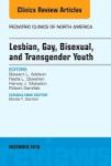 Lesbian Gay Bisexual And Transgender Youth An Issue Of Pediatric Clinics Of North America Hardcover