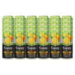 Still Orange 100% Fruit Juice Blend Case 24X330ML