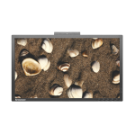 Lenovo T2424ZA 24" Lcd Fhd Widescreen Monitor - No Stand - Gold Essential - Scratches On Housing Foot Piece And Lcd