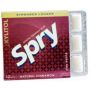 Spry Dental Chewing Gum Cinnamon 10S