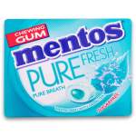 Pure Fresh Chewing Gum 14G - Wintergeen