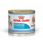 ROYAL CANIN Mother & Babydog Starter Mousse - Single Can