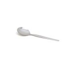 Spoon Curry 25 Cm