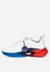 Puma Motorsport Bmw Mms Lgnd Renegade Rt