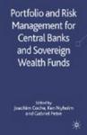 Portfolio and Risk Management for Central Banks and Sovereign Wealth Funds