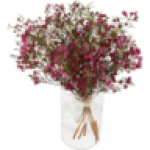 Posy Flowers Vase Not Included