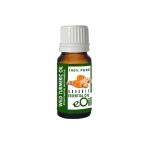 Turmeric Curcuma Organic Essential Oil - 10 Ml