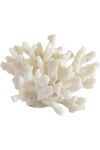 Classic Coral Decor - Gold