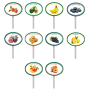 Garden Pops - Fruits - Pack 1 Set Of 10
