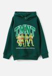 Cotton On License Emerson Hoodie - Lcn Nic Pine Tree Green tmnt