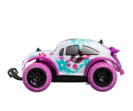 Pixieamazone Beetle