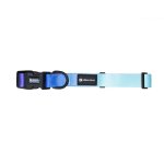 Ombre Dog Collars - Medium Missy