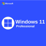 Windows 11 Professional - 5 Devices