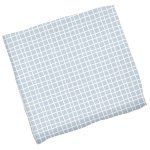 Muslin Blanket: Blue Grid