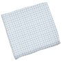 Muslin Blanket: Blue Grid