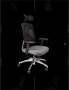 Demo Of Wp Ergonomic Adjustable Office Chair - Black