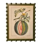 Bobble Framed Fruit Wall Art Heirloom Watermelon