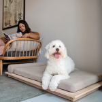 Zen Dog Bed - Large - 120CM L X 14CM H X 91CM W Oatmeal