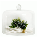 Cake Dome Iris Dome 20CM H X 35CM W - 20CM H X 35CM W