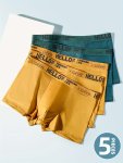 5PCS Mixed Color Men's Boxer Briefs Breathable Comfy Boxer Trunks Elastic Shorts Men's Casual Underwear Daily Wear