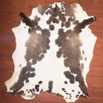 Aa Grade Nguni Hide 146 Tricolour XXL - Extra Extra Large Tricolour Panelled