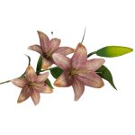 Lily 100CM L pink