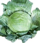 Cabbage Copenhagen Market Seed - 10 G Raw Seed