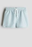 Patterned Swim Shorts - Turquoise Striped