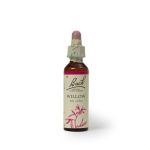 Willow Flower 20ML