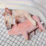 1PC Cute Pig Design Pet Grinding Teeth Squeaky Plush Toy Durable Chew Toy For Dog Interactive Supply