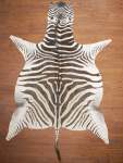 Aa Grade Zebra Hide 057 L