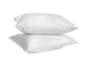 Standard Twin Pack Pillows