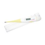 Digital Thermometer