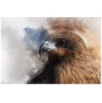 Golden Eagle Wall Art Canvas Print 1200 X 800